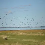Doppelhaushaelfte In Friedrichskoog-spitze Friedrichskoog-Spitz
