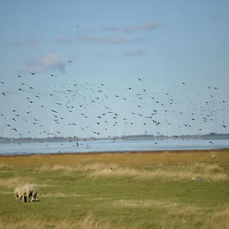Doppelhaushaelfte In Friedrichskoog-spitze *