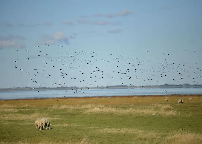 Doppelhaushaelfte In Friedrichskoog-spitze *